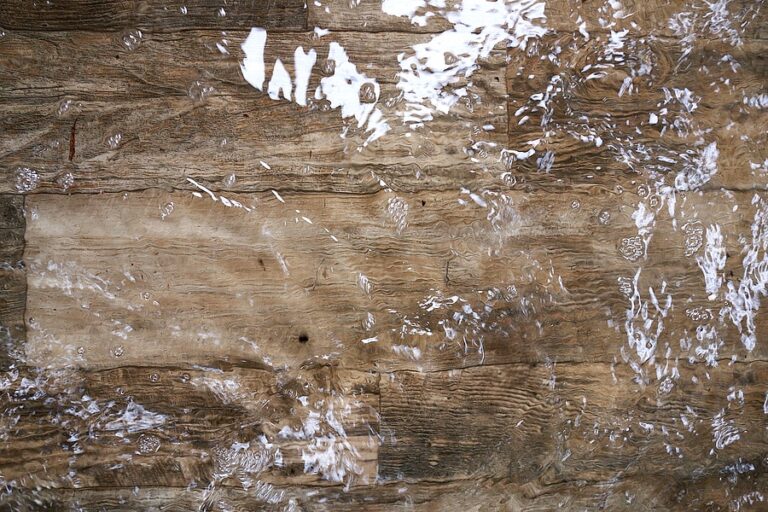 emergency online loans