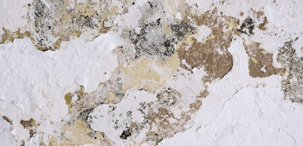 Can You Mix Bleach And Vinegar To Kill Mold