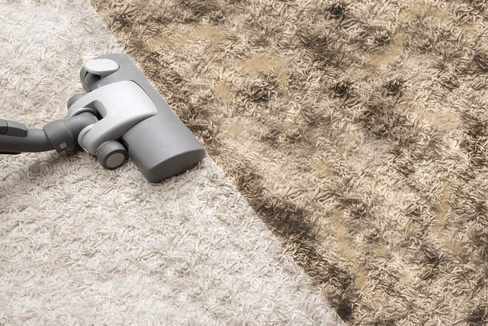 A vacuum cleaner head is shown cleaning a dirty section of a light-colored carpet, revealing a clean area next to it. The deep-cleaning process helps remove mold and stubborn stains from carpets, leaving your home fresh and spotless.