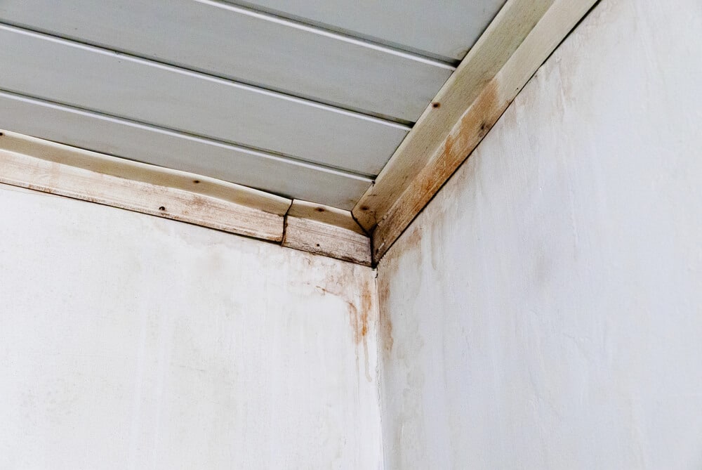 A corner of a room reveals signs of water damage, with mold covering the ceiling and walls. The wooden trim is discolored and warped, indicating prolonged exposure to moisture.