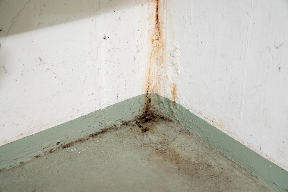 A damp corner of a concrete room with discoloration and mold from water damage on the walls and floor highlights the importance of keeping water away from your foundation.