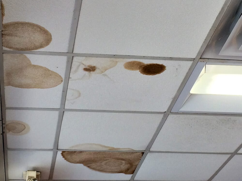 Ceiling tiles with multiple brown water stains and a light fixture partially visible on the right side, likely caused by roof leaks.