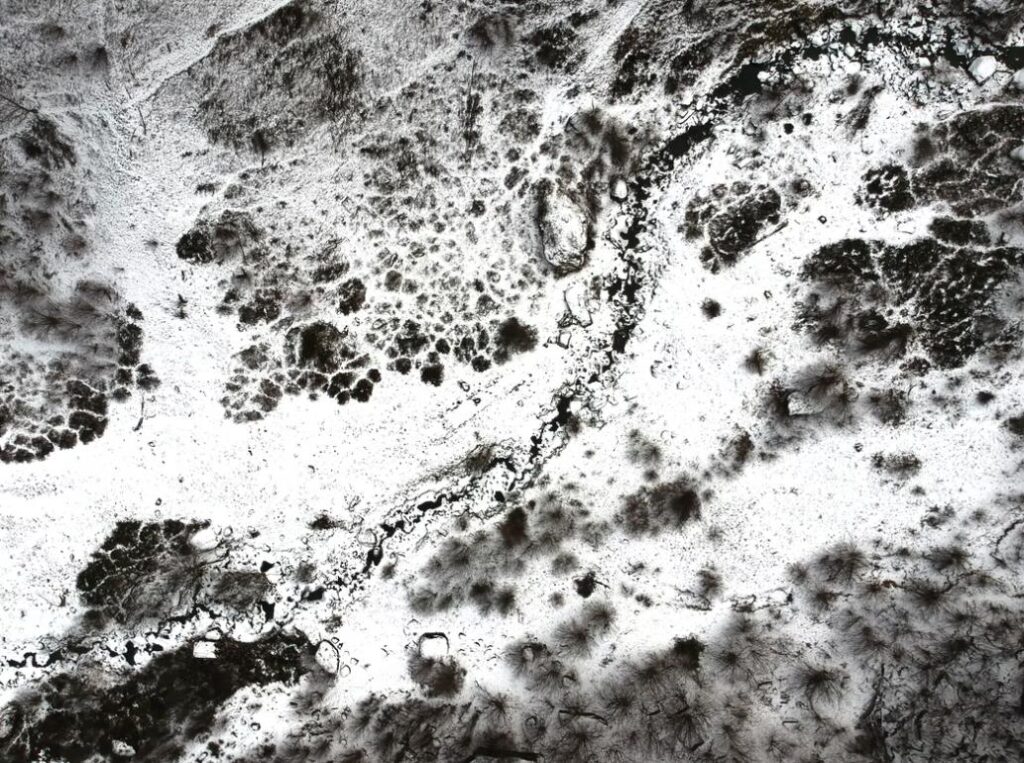 Know Why Black Mold Grows in Your Bathroom All Dry USA