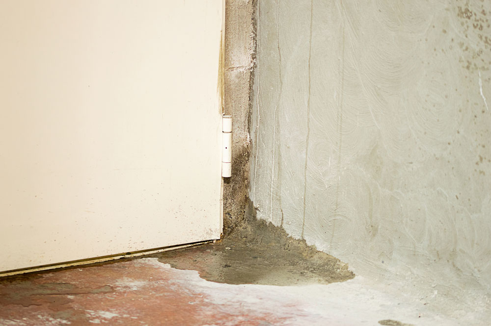 A close-up view of a white door hinge connected to a door, with visible water damage and moisture stains on the adjacent concrete floor and wall. Ideal for learning how to clean up water in your basement effectively.