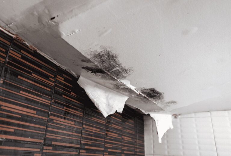 The Hidden Dangers of Ceiling Water Leaks Mold, Structural Damage, and